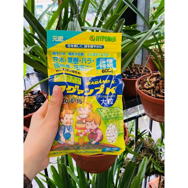Phân tan chậm nhật bản magamp k 6-40-6-15 - chuyên dùng kích chồi cho phong lan, cây kiểng
