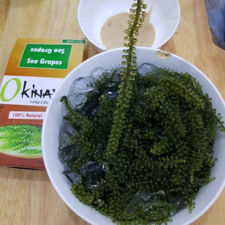 Gói Sốt Mè Rang Rong Nho Okinawa 15 ml Đậm Đặc Siêu Ngon