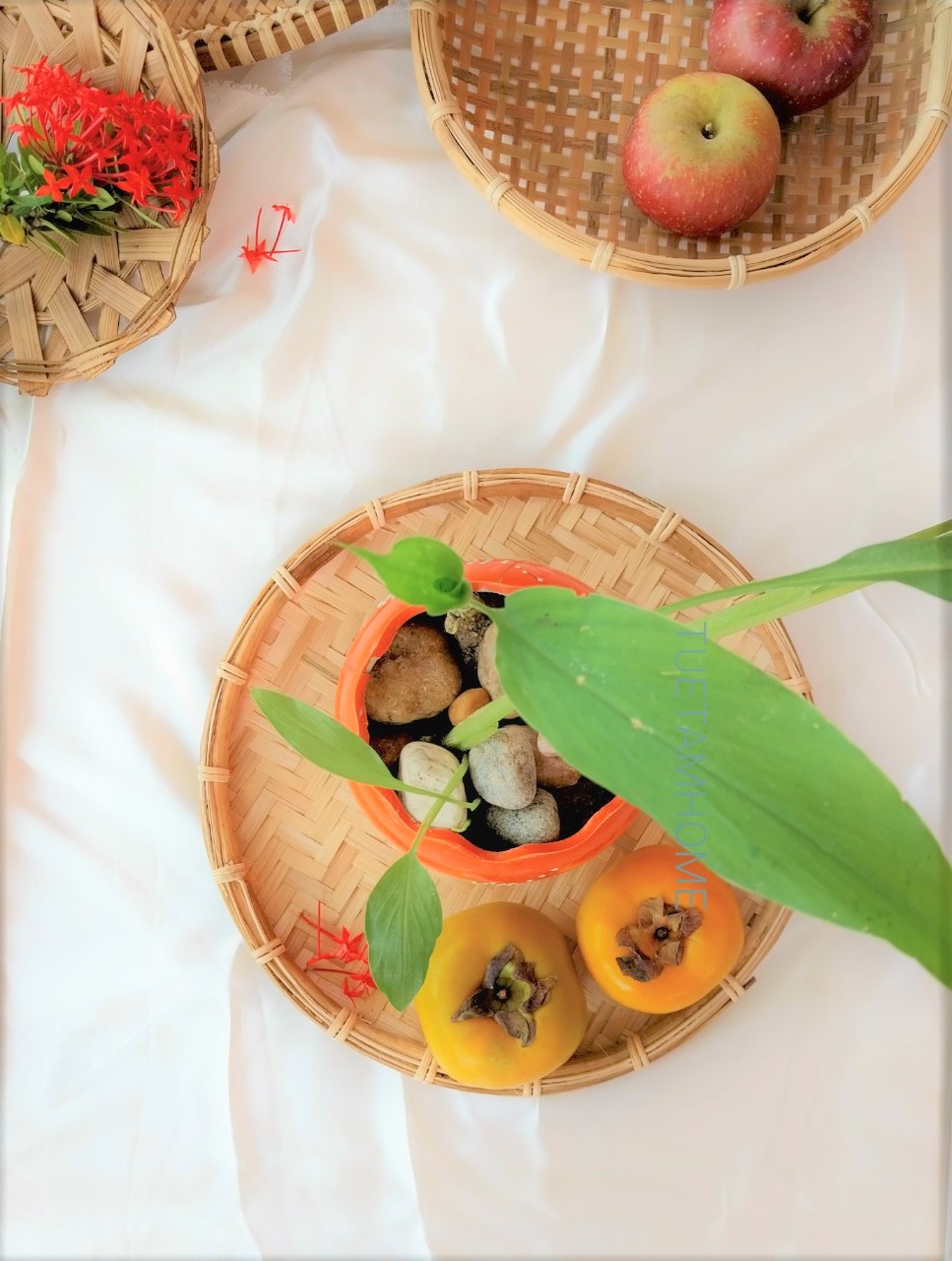 Mẹt tre thủ công, mẹt tre viền mây, mẹt trang trí, mẹt decor, phụ kiện chụp hình, mẹt tre bún đậu, mẹt phục vụ đồ ăn nhà hàng