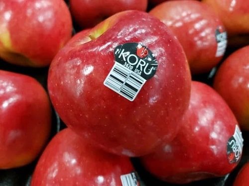 Táo Koru S90