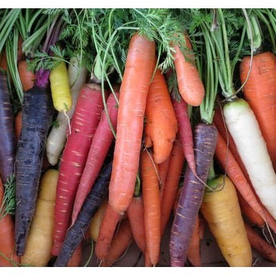 [HCM]Gói 40 hạt giống Cà Rốt Mix Màu