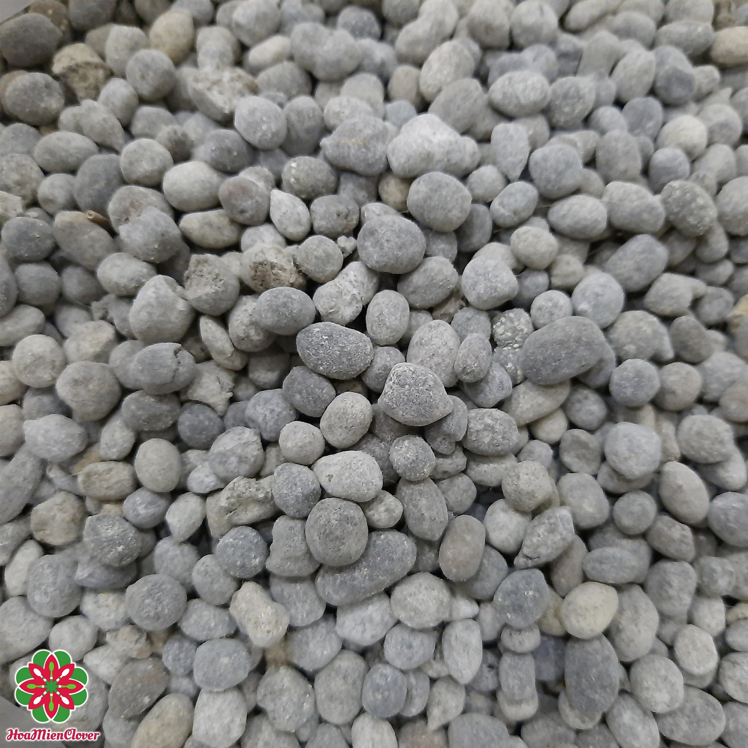 1kg Phân dê tan chậm đã xử lý - Dạng viên khô - Phân bón hoa lan & cây cảnh - (KHÔNG BAO GỒM LƯỚI)