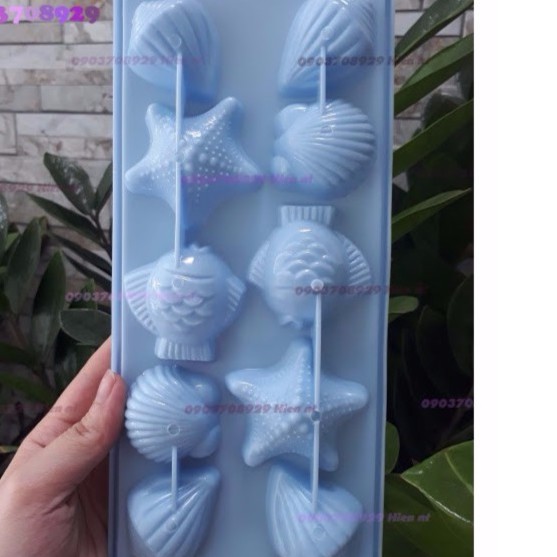 Khuôn thạch rau câu/ đá/ phô mai/ trái cây 10 hình ốc sò hến cá sao biển, chất lượng đảm bảo an toàn đến sức khỏe người sử dụng, cam kết hàng đúng mô tả