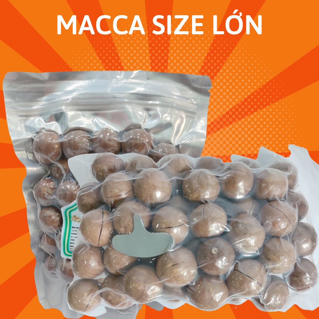 Hạt macca dinh dưỡng hạt macca nứt vỏ sấy lạnh Đắk lắk không hôi dầu hạt size lớn túi zip 500g