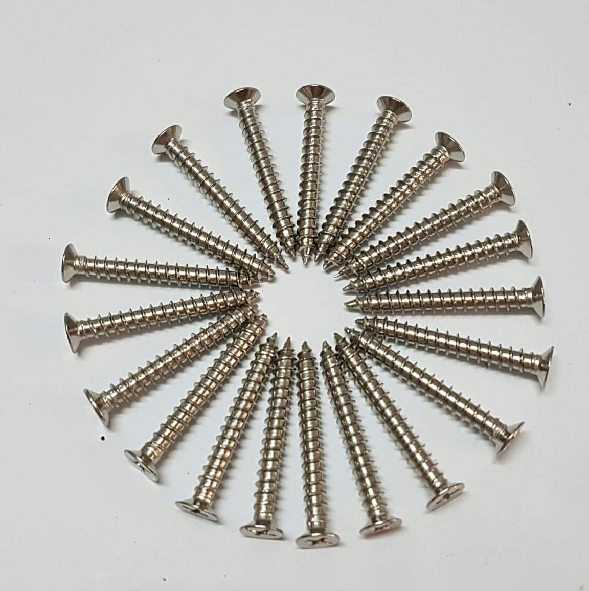 [HCM]Bộ 100 ốc vít inox 201 bắt tường kích thước (4x30mm )