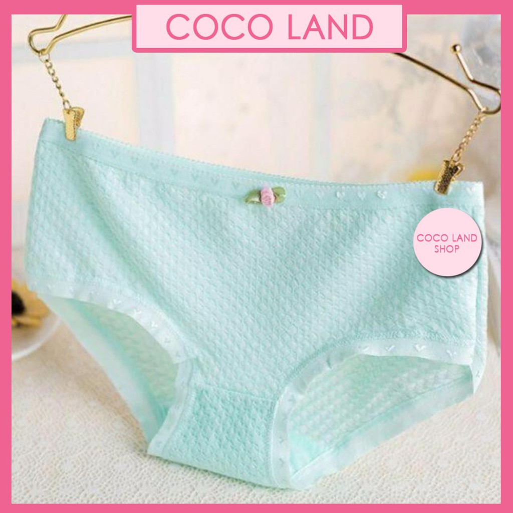 Quần chip cotton phối ren mềm mịn -quần chip kháng khuẩn xuất nhật -quần chip cột dây dễ thương -🎀 quần chip nhún bèo