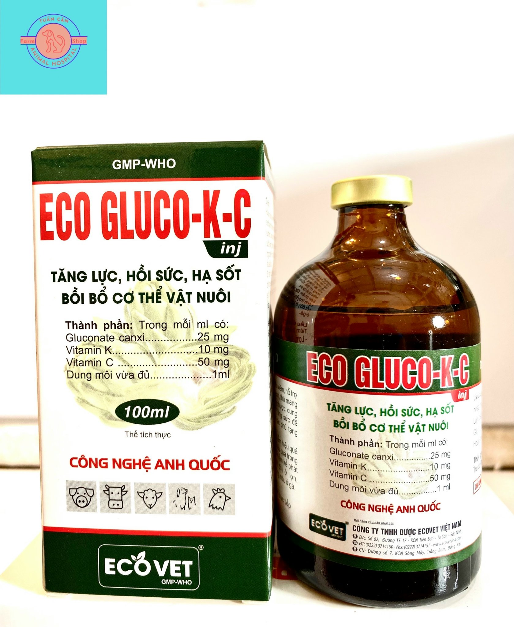 {Chính Hãng} Eco Gluco K+ C(20ml-100ml) Tăng lực, hồi sức, hạ sốt, bồi bổ cơ thể gia súc, gà đá gia cầm sản phẩm của công ty Ecovet Toàn Thắng.