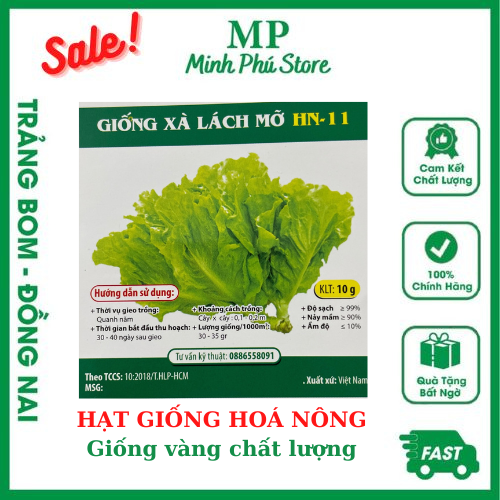 Giống xà lách mỡ HN11 - 10g - Hạt giống Hoá nông rau củ quả trái lá chịu nhiệt, trồng quanh năm, nảy mầm tốt, năng suất cao