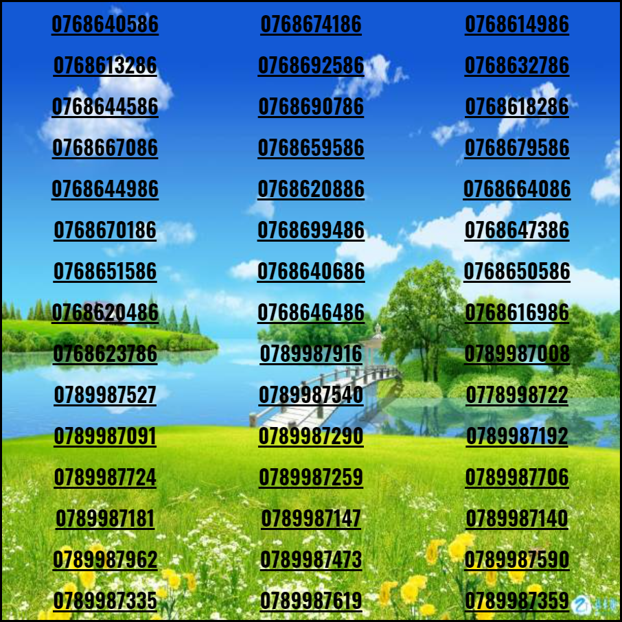 FREESHIP - CHƯA KÍCH HOẠT [HCM]SIM MOBIFONE ĐẸP TAM HOA LỘC PHÁT