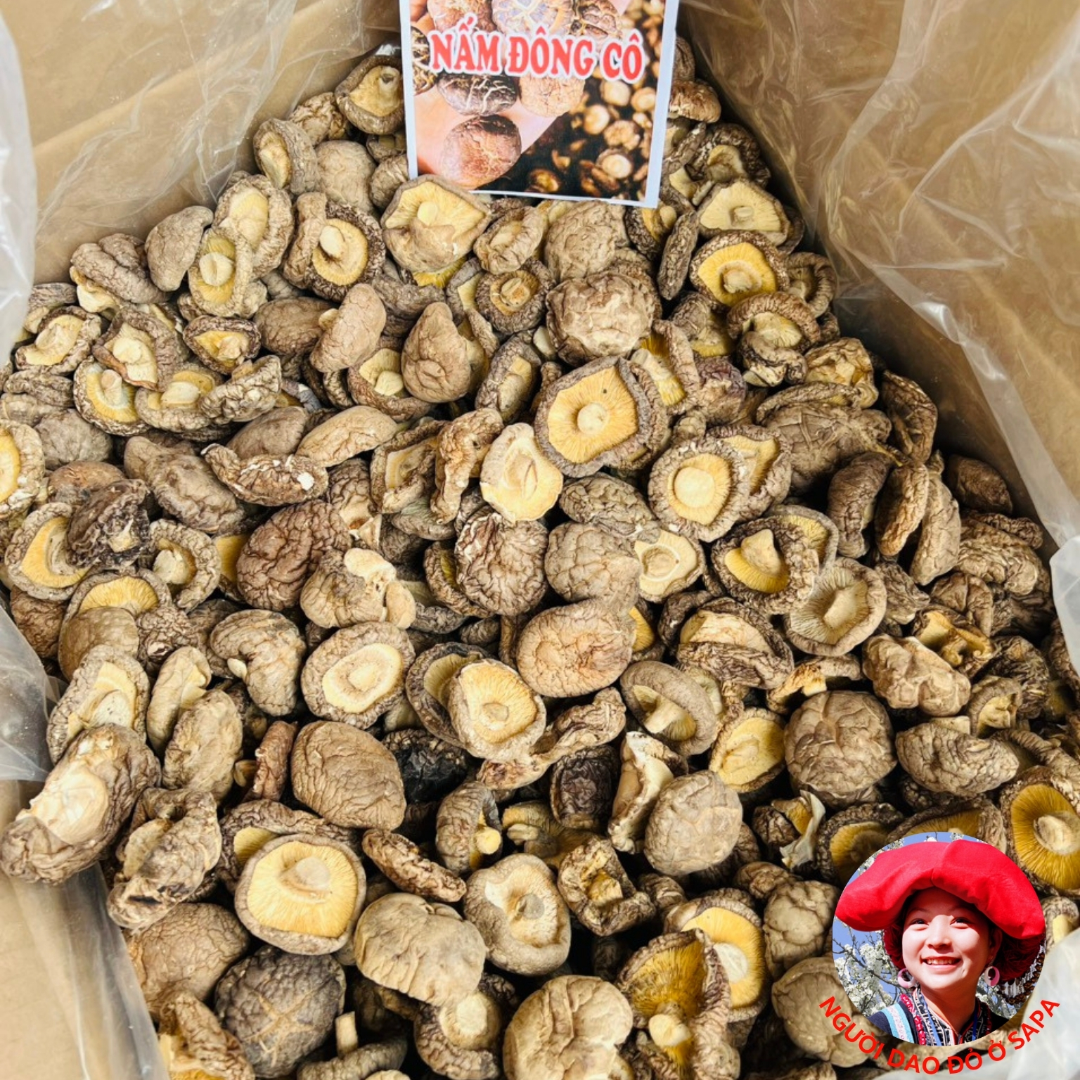 Nấm đông cô khô Sa Pa, nấm cúc loại 1 Đặc sản nấm hương rừng Tây Bắc, nấm đông cô, nấm hương rừng xiên que phơi khô