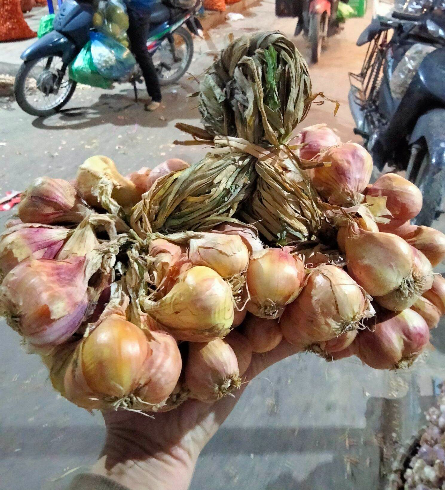 hành ta hành tím hành khô Kinh Môn Hải Dương thơm, chắc, mẩy