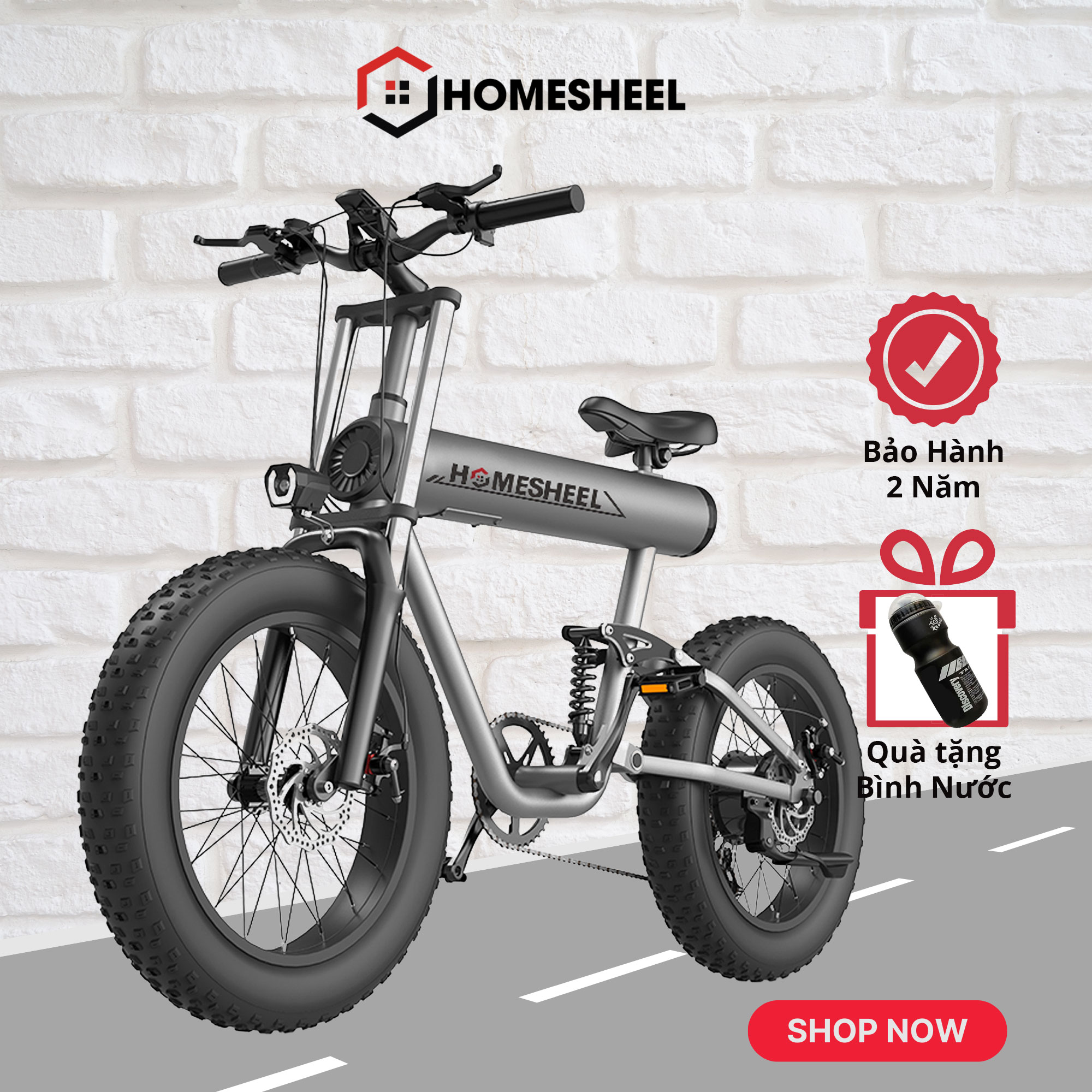 Xe đạp điện thể thao homesheel t20 plus