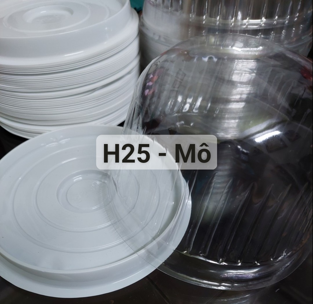 Lốc 50 -100 hộp nhựa tròn h25 mô - vòm