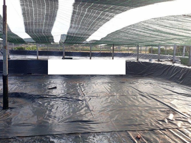 [HCM]Lưới che nắng Thái che 70% lưới che phong lan - Khổ 2m dạo cao x theo mét tới