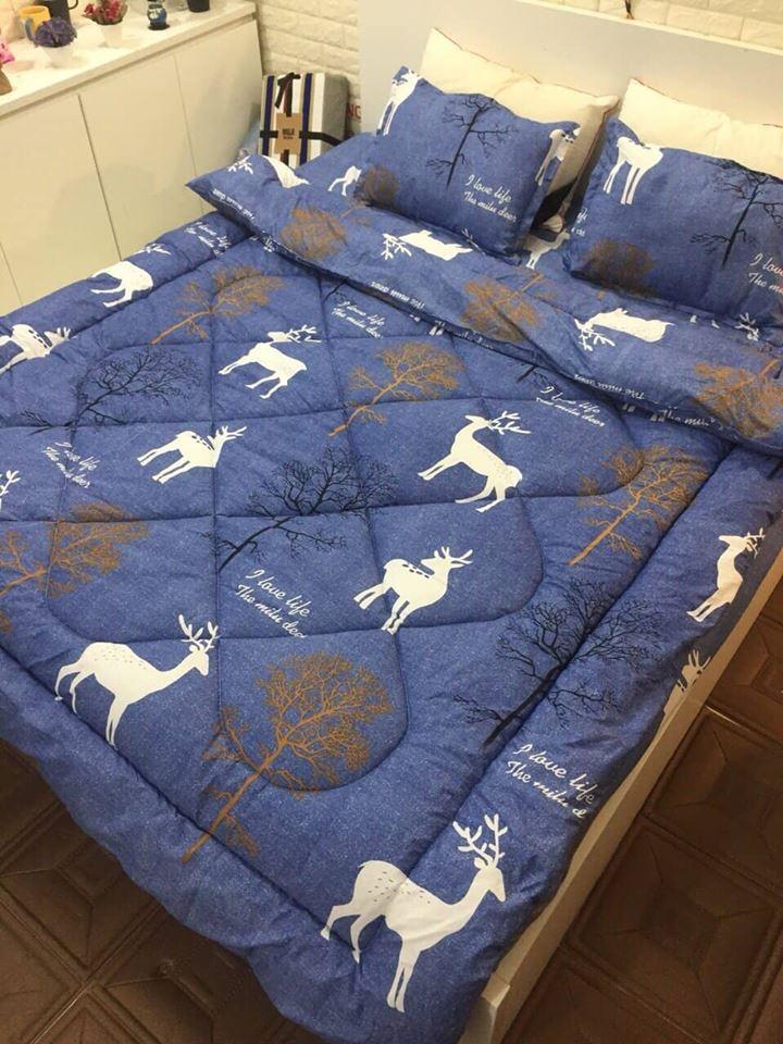 Chăn Phao Chần Bông  Siêu Nhẹ Mẫu Mới Năm 2019