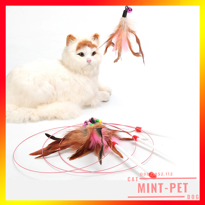 Cần Câu Mèo Dây Thép - Đồ Chơi Cho Mèo Giá Rẻ