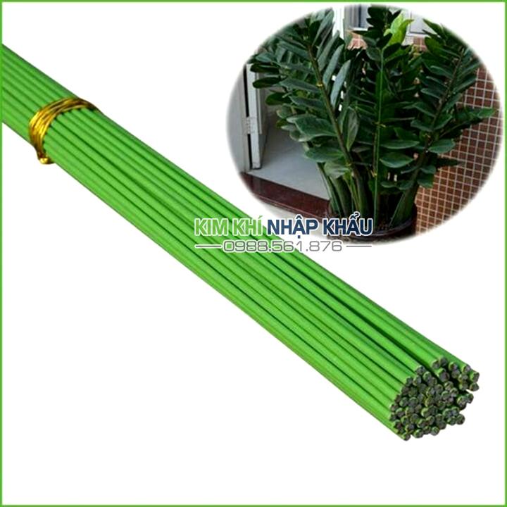 10 que cắm Lan màu xanh lõi thép dài 80 cm
