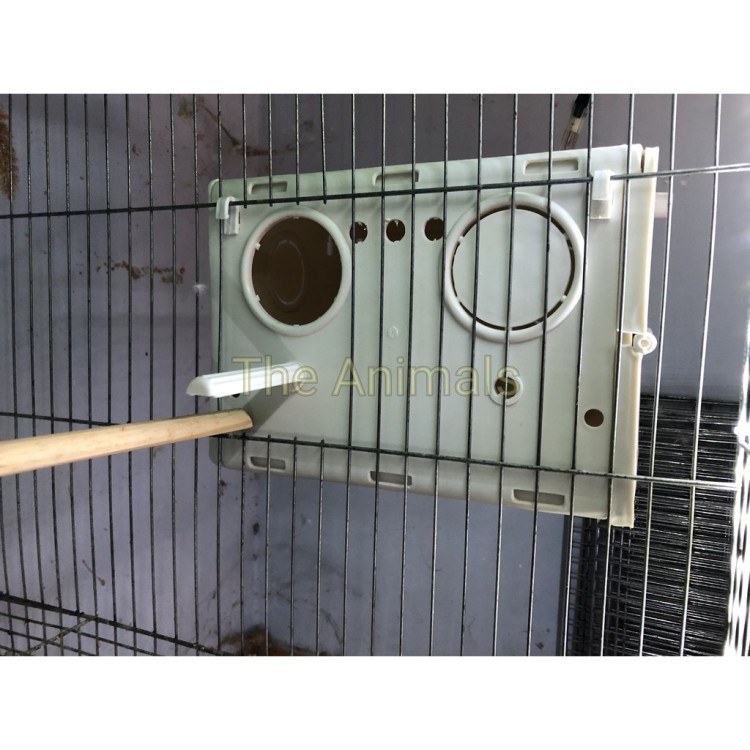 Tổ đẻ cho chim yến phụng yến phụng EU vẹt Malay lovebird parottlet và các loại chim nhỏ