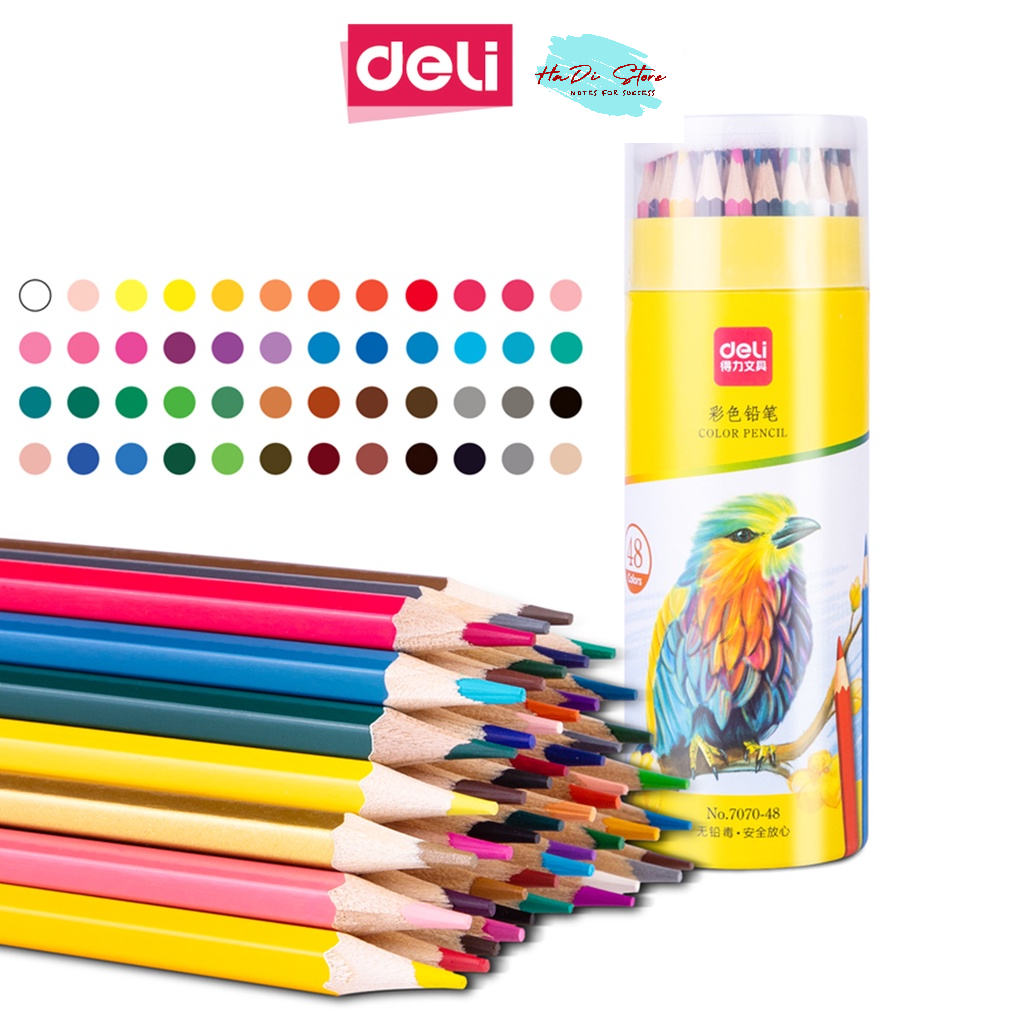 Bút chì màu dạng cốc DELI 7070 12-24-36-48 màu