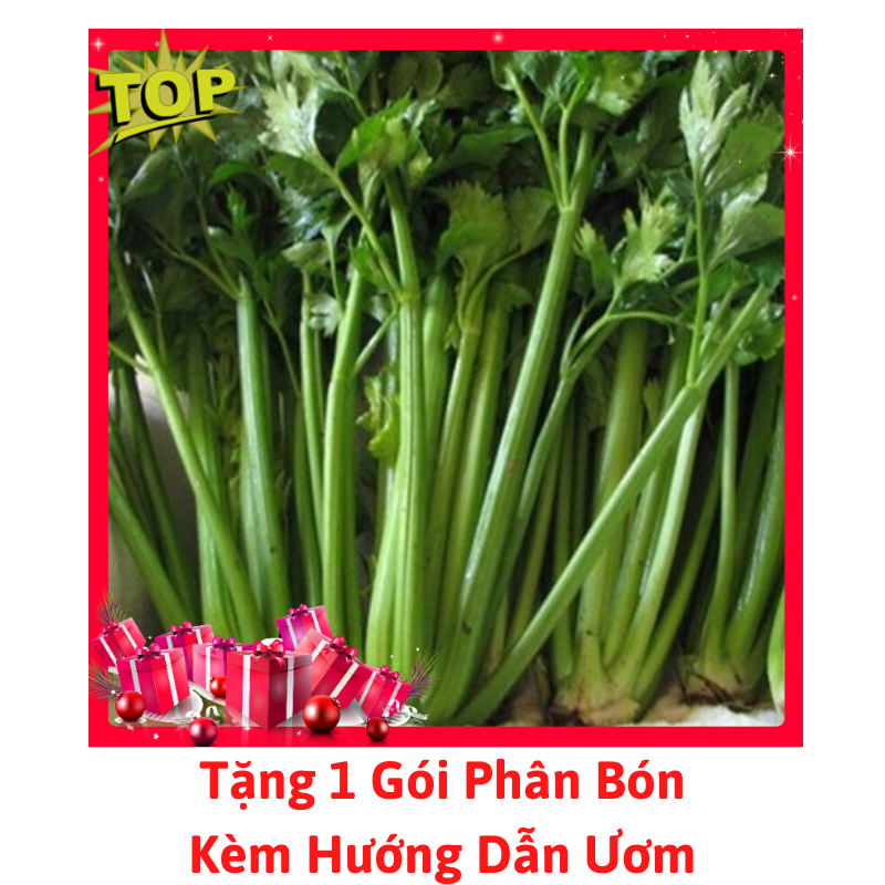 [Lấy mã giảm thêm 30%] Gói Hạt Giống Rau Cần Tây
