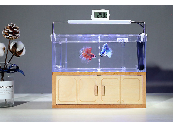 Bể cá thủy sinh mini để bàn 02