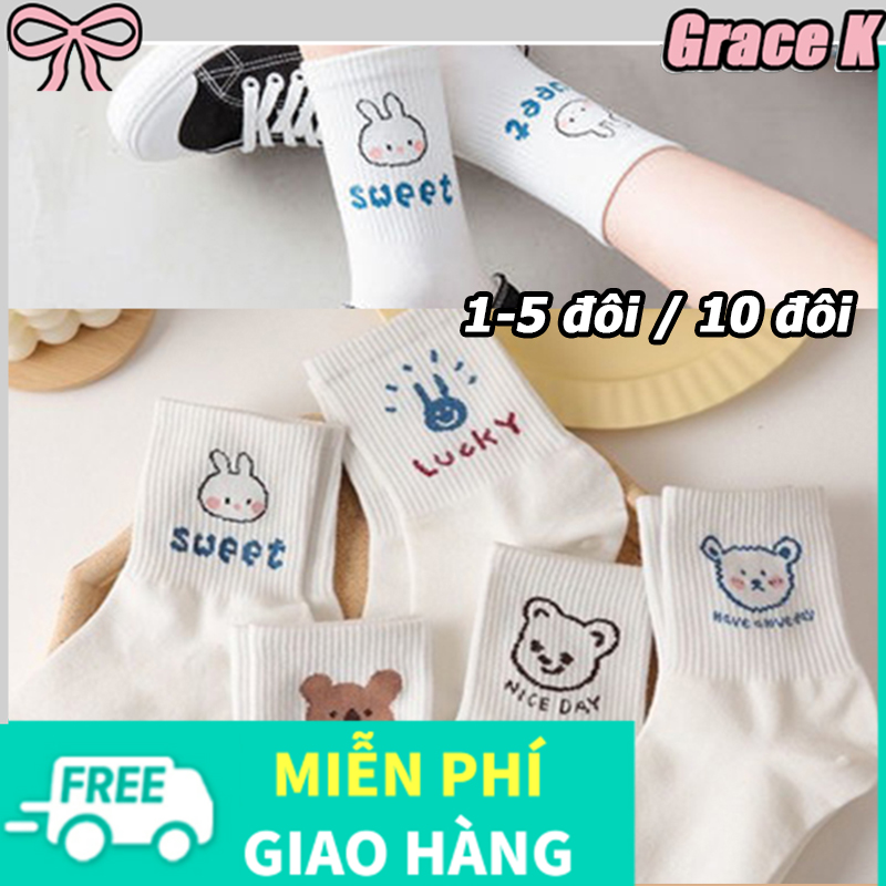 [miễn phí vận chuyển] Set 10 Đôi/5 Đôi Tất Vớ Nữ Cao Cổ Gấu Trắng
