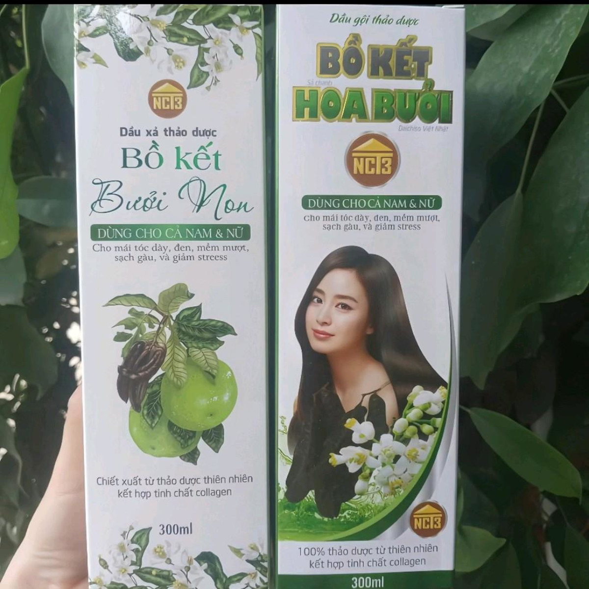 Combo dầu gội, dầu xả thảo dược bồ kết hoa bưởi