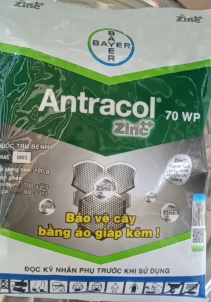 Thuốc trừ bệnh cây trồng antracol 70wp bayer 100gr