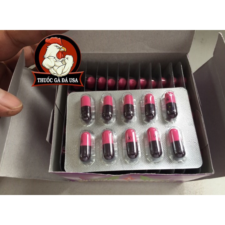 Nhanh ra mọc lông cho gà đá - gà đá usa - 5 vĩ 50 viên
