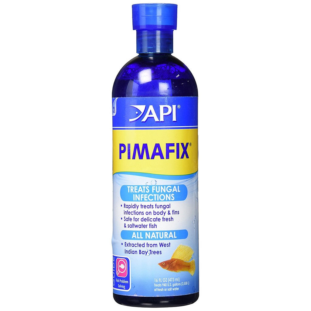 Xử lý nấm trắng vết thương ngoài da api pimafix hàng mỹ cho cá