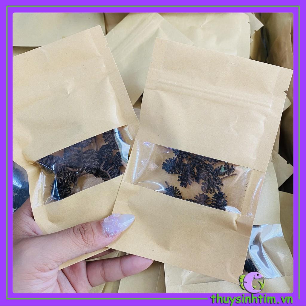 Trái thông khô alder cones