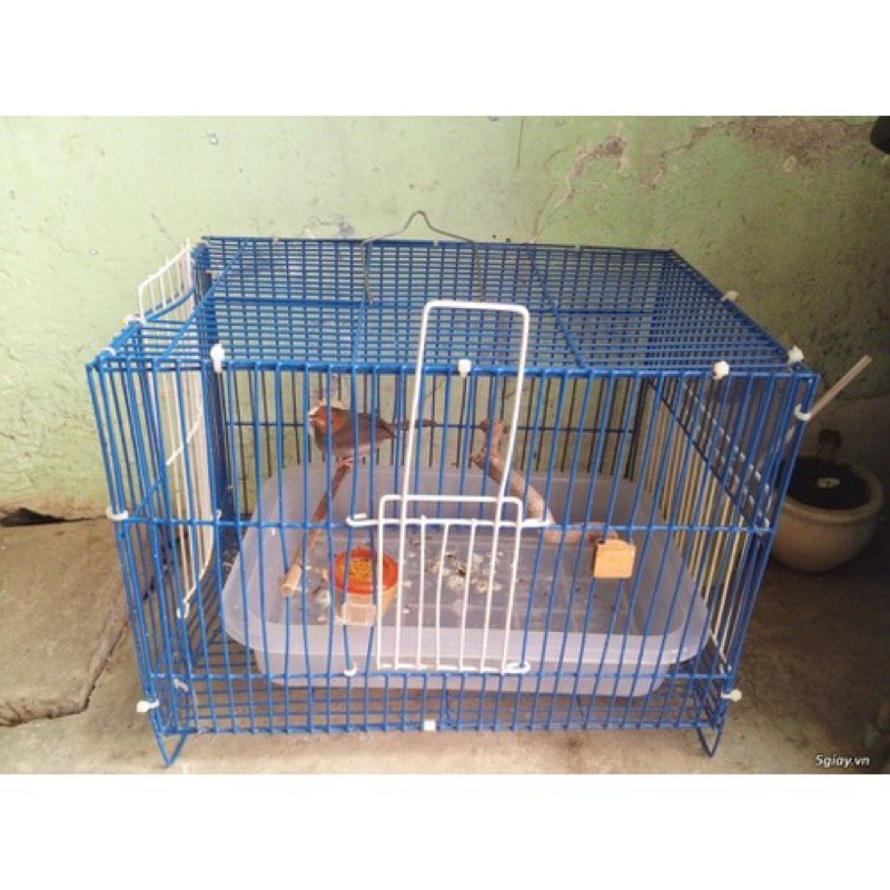 Lồng tắm cho chim đủ size + thau tắm.