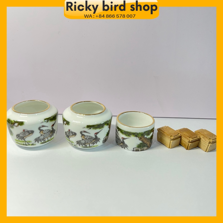Cóng chào mào đẹp Ricky, cóng tàu tích tùng cò viền vàng kim bộ bộ 3 chiếc đã kèm tai cóng tàu