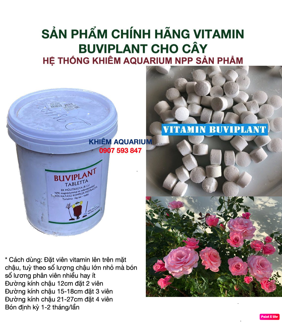Vitanmin Buviplant phân bón TAN CHẬM cho cây cảnh