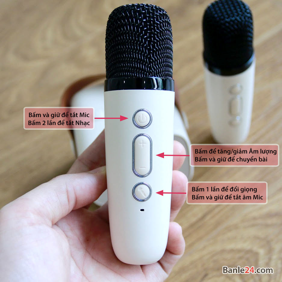 Loa karaoke mini bluetooth kèm 2 micro cute, nghe nhạc, ca hát mọi lúc mọi nơi