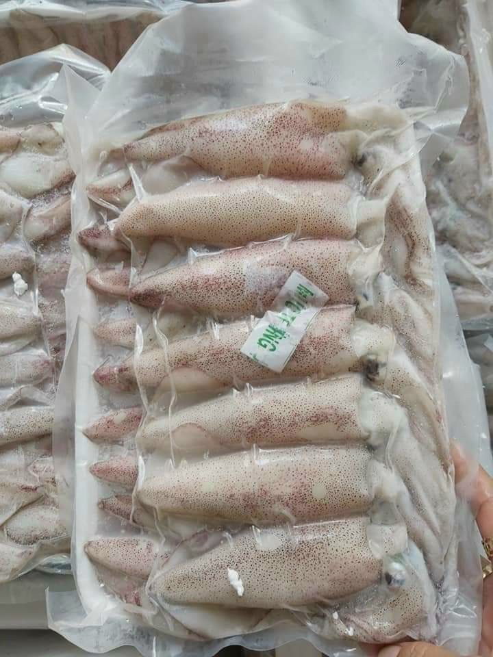Mực trứng 1kg size 20 con