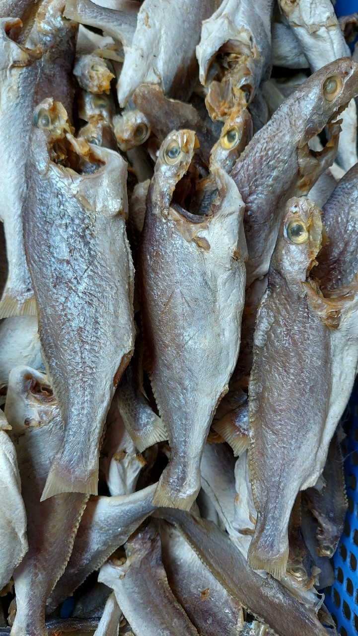 1kg khô cá lù đù size nhỏ cà mau hoặc 500gr khô cá lù đù size nhỏ cà mau
