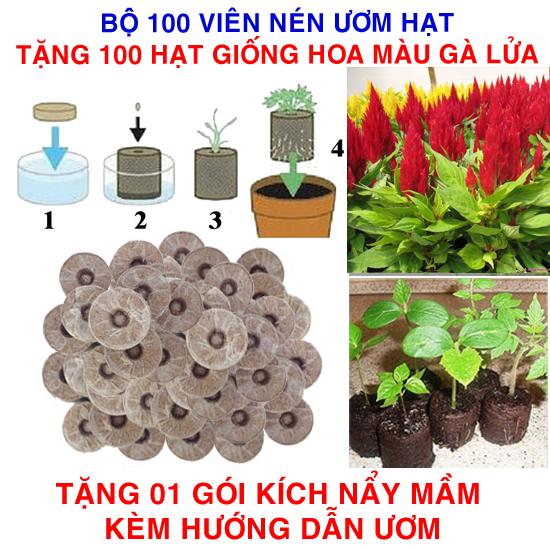 Bộ 100 viên nén ươm hạt (tặng 100 Hạt giống Mào gà lửa + Kích thích nẩy mầm, Hướng dẫn)