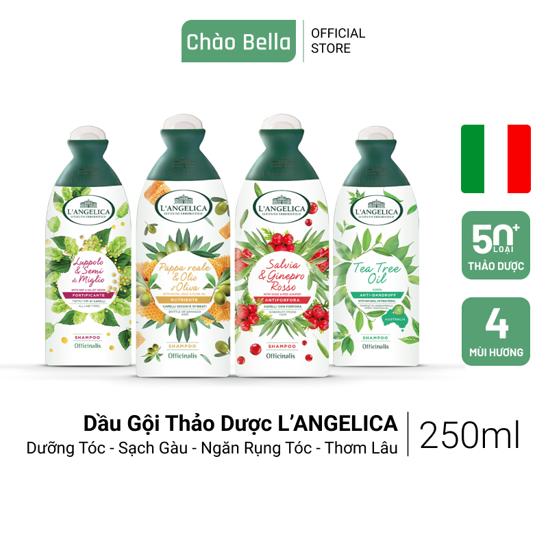 Dầu Gội Thảo Dược Cao Cấp Nhâp Khẩu Ý L'Angelica (Full 4 Phân Loại) | Dưỡng Tóc, Sạch Gàu, Ngăn Rụng Tóc, Thơm Lâu Trên Tóc (250ml)