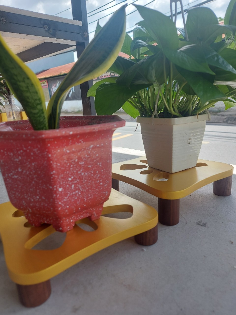 Đôn gỗ để cây cảnh - đế gỗ decor chậu cây nhà phát tiên