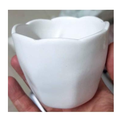 Chậu sứ miệng hoa nhỏ
