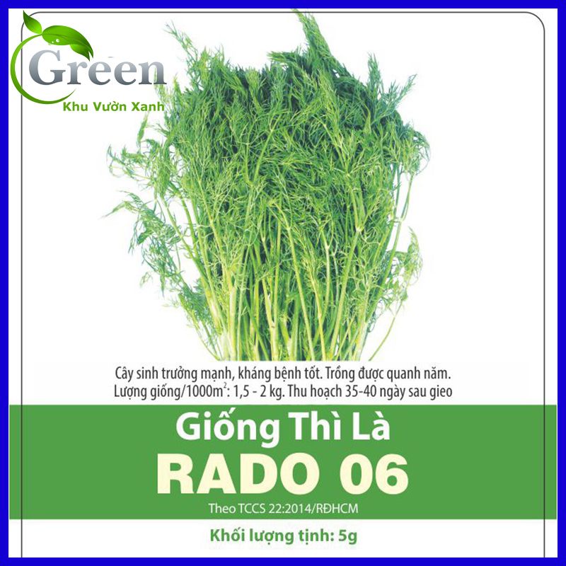 Hạt giống rau thì là chịu nhiệt, dễ trồng quanh năm