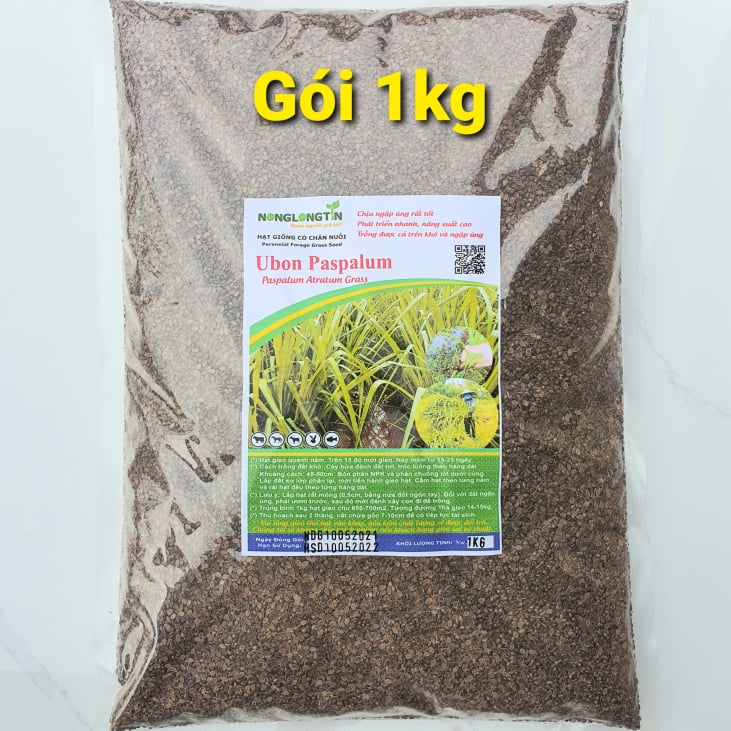 Hạt Giống Cỏ Paspalum - chịu ngập úng