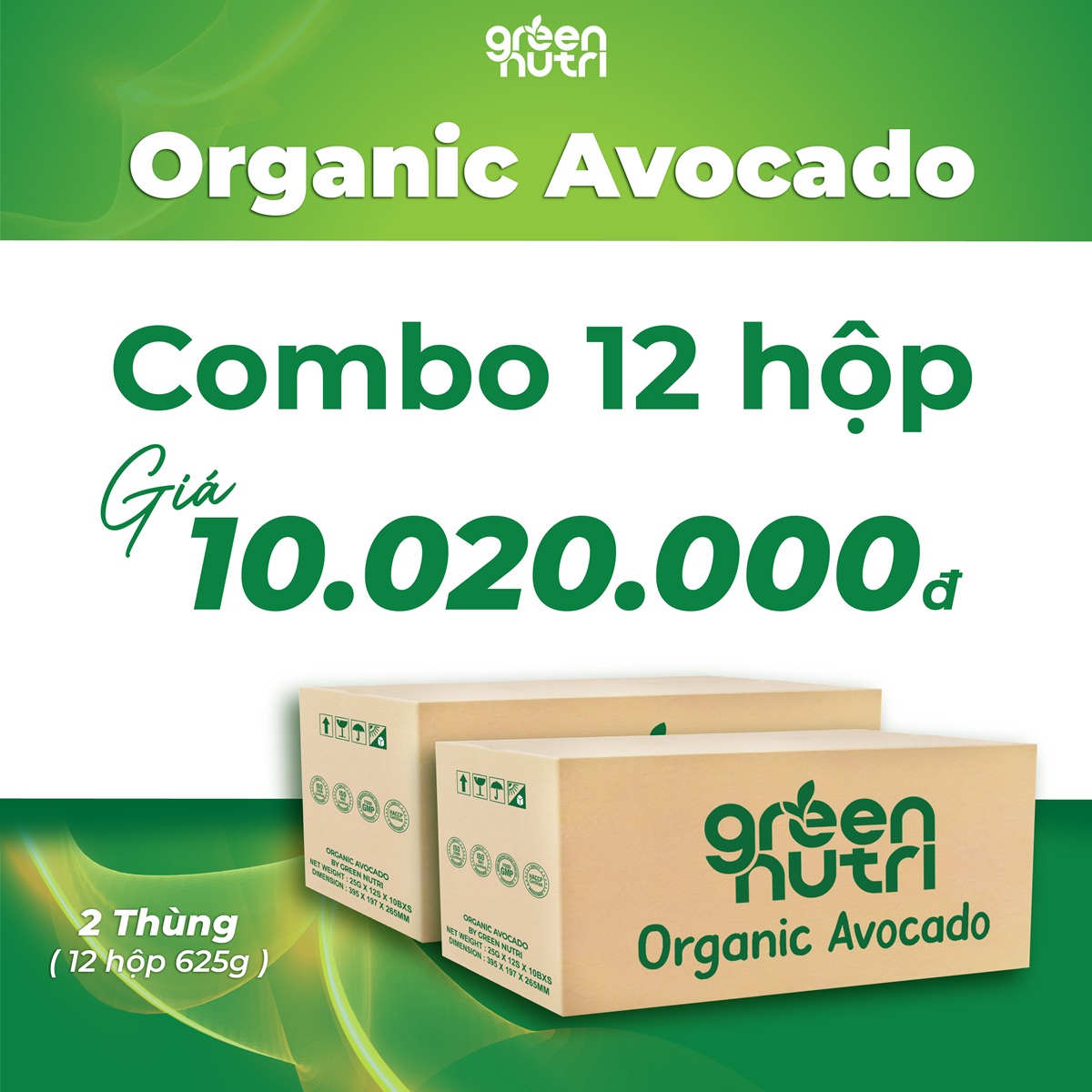 Combo 2 Thùng 12 Hộp Sữa Hạt Ngũ Cốc Organic Avocado Có Chứa BCAAs Duy Trì Sức Khỏe Khối Cơ - Hộp giấy 625gr
