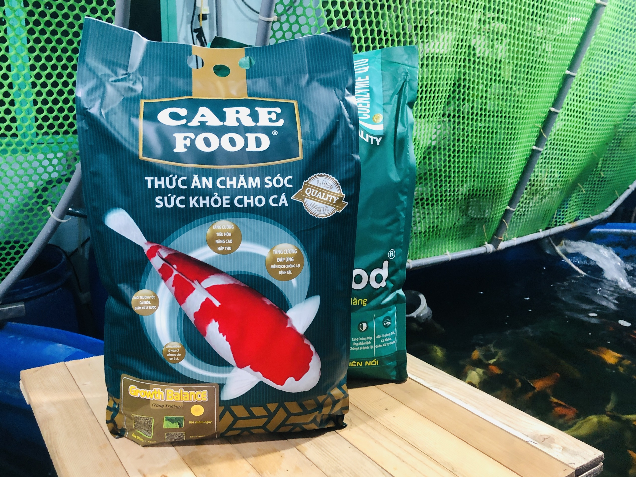 Thức ăn cá koi carefood growth_thức ăn hỗ trợ tăng trưởng body ổn định chuyên dùng cho cá koi 40% đạm