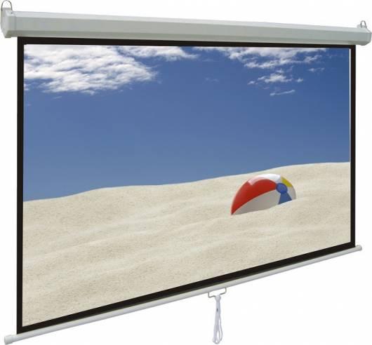 Màn chiếu treo tường 170 inch dalite tự cuốn
