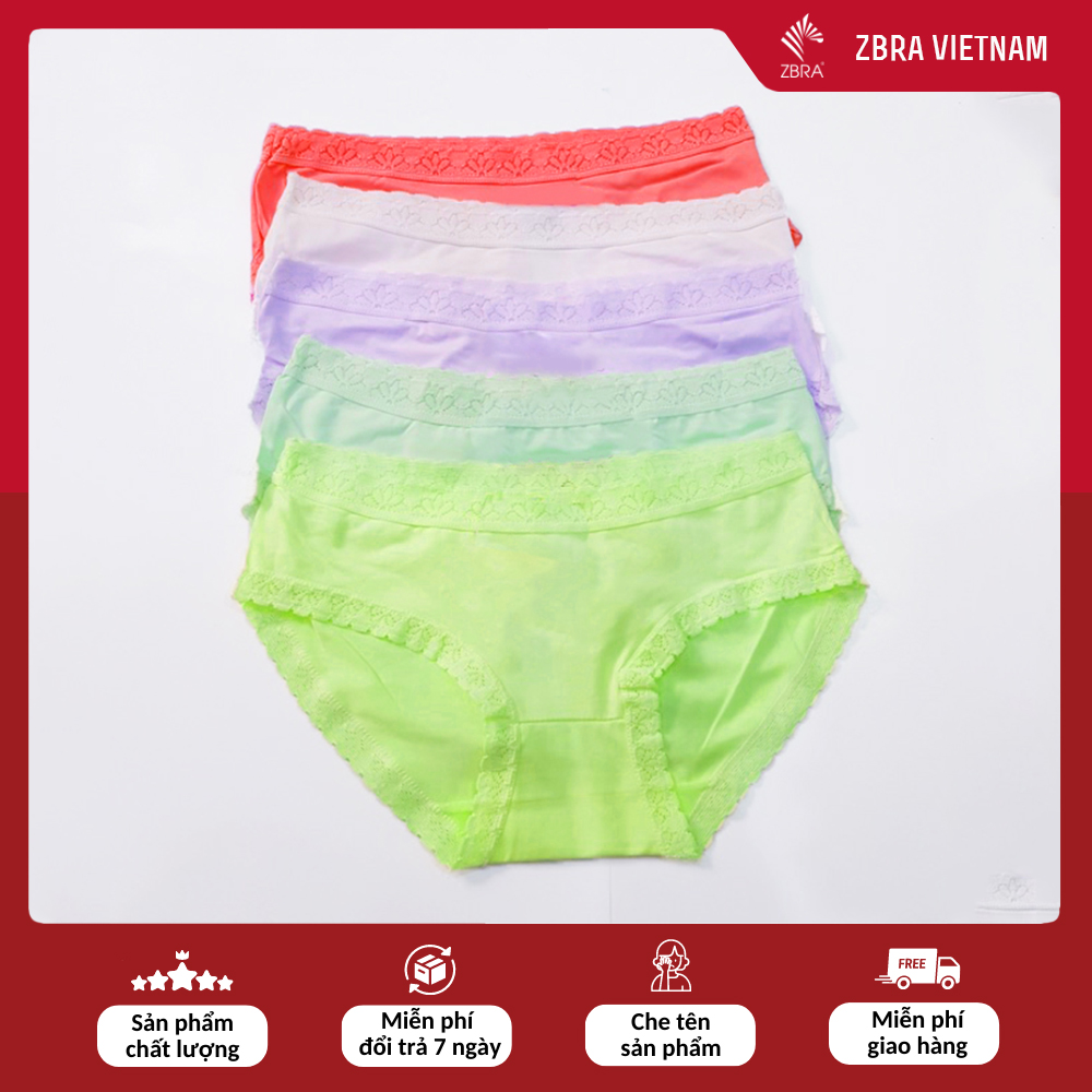 Quần lót nữ Combo 5 Quần chip nữ cotton trơn phối viền ren co giãn 4 chiều kháng khuẩn - ZQ819