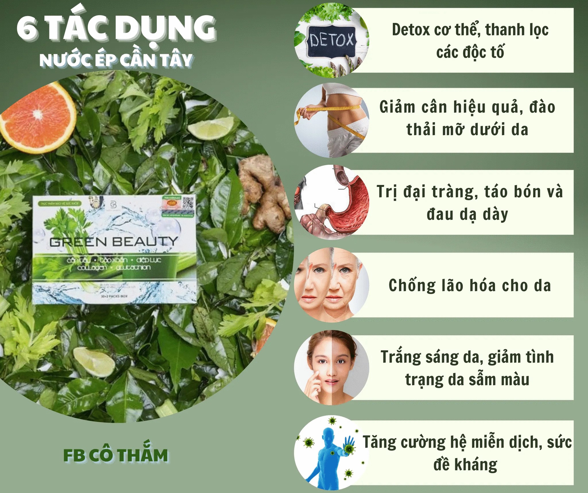 Nước ép cần tây chống táo bón, đẹp da hiệu quả cho cả bé và người lớn Green Beauty