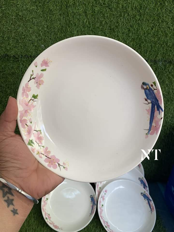 [HCM]Combo 6 dĩa sứ cao cấp in hình viền chim đào 21cm