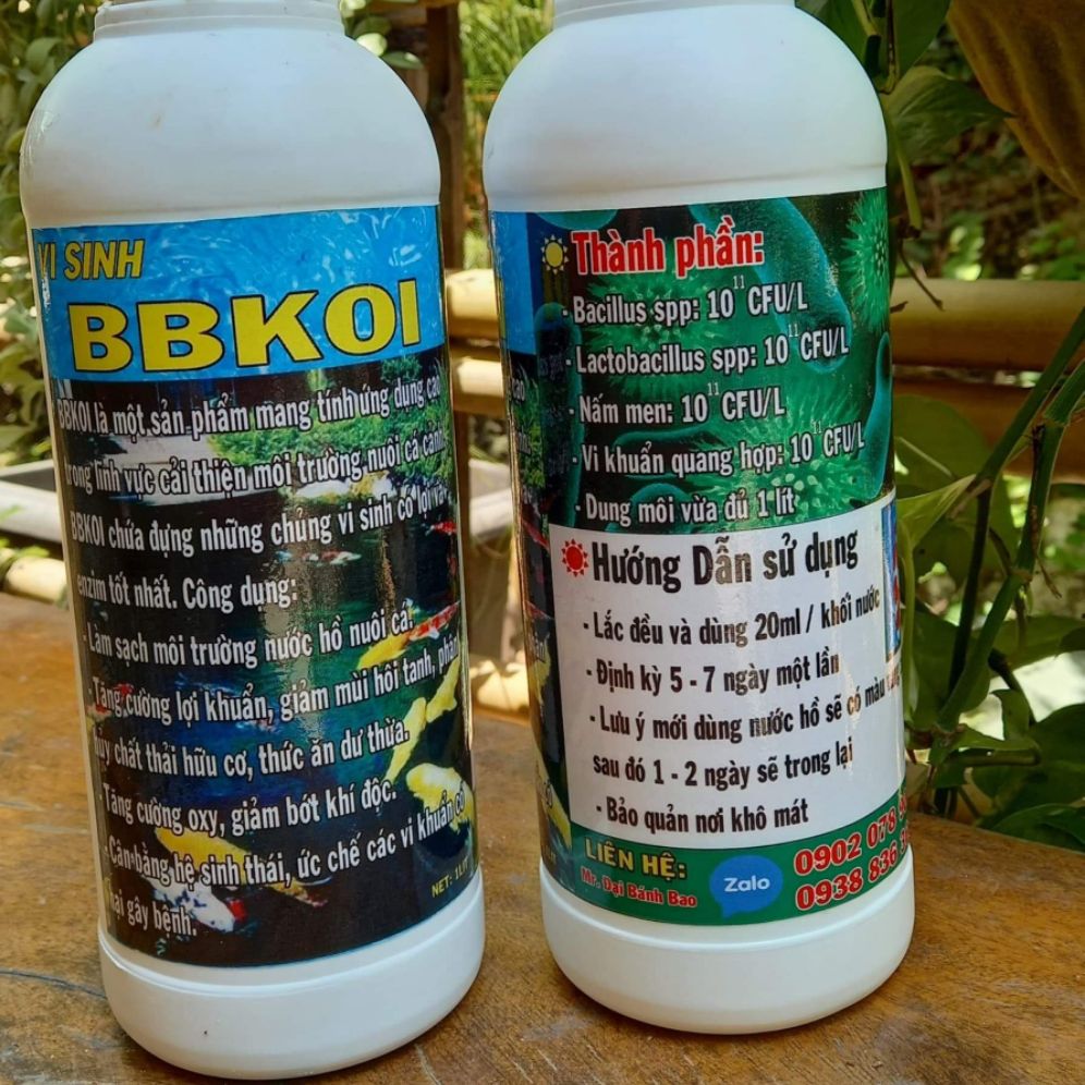 [HCM]VI SINH HỒ CÁ BB KOI